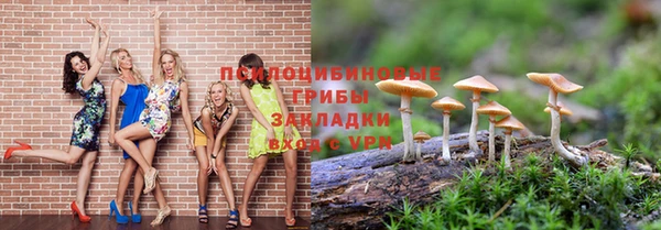 Альфа ПВП Алексин